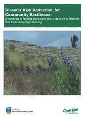 Disaster risk reduction for community resilience: a synthesis of lessons from more than a decade of disaster risk reduction programming